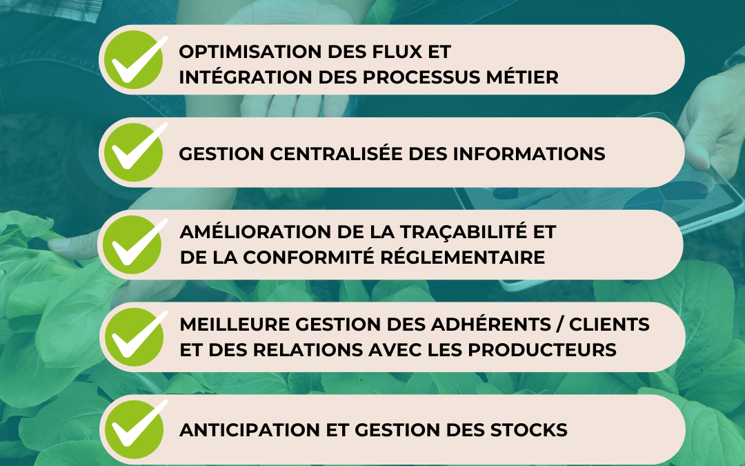 Optimisez la performance de votre coopérative et négoce agricole avec un ERP métier adapté